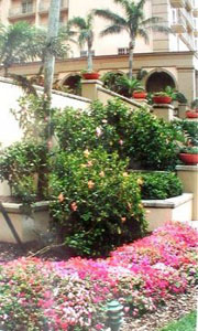 Gardens at the Naples Ritz Hotel