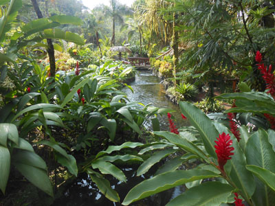 Garden in Costa Rica