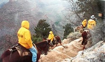 Mule Riders on Bright Angel Trail