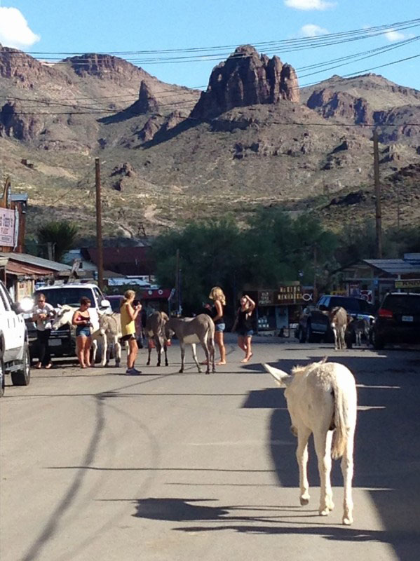 Hackberry General Store